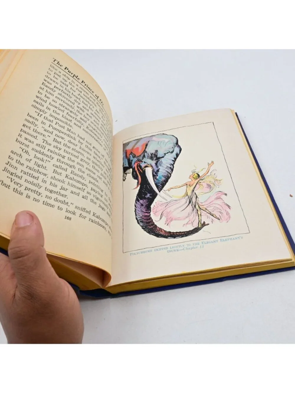 The Purple Prince of Oz Hardcover 1932 Vintage Book Color Plates